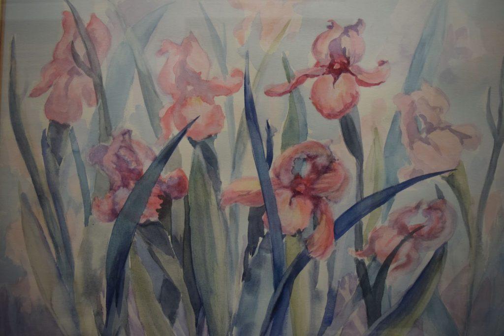 Irises